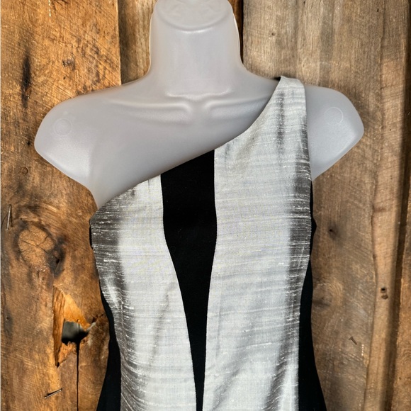 Rag & Bone Silver/Black Silk Dupioni One Shoulder Dress - Size 2 - Picture 5 of 15